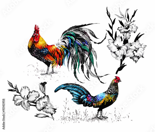 Seamless watercolor pattern with farm roosters silhouettes and