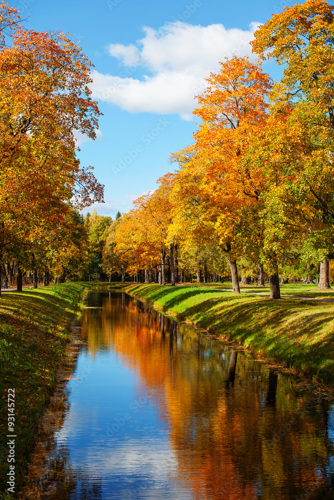river channel in the autumn park