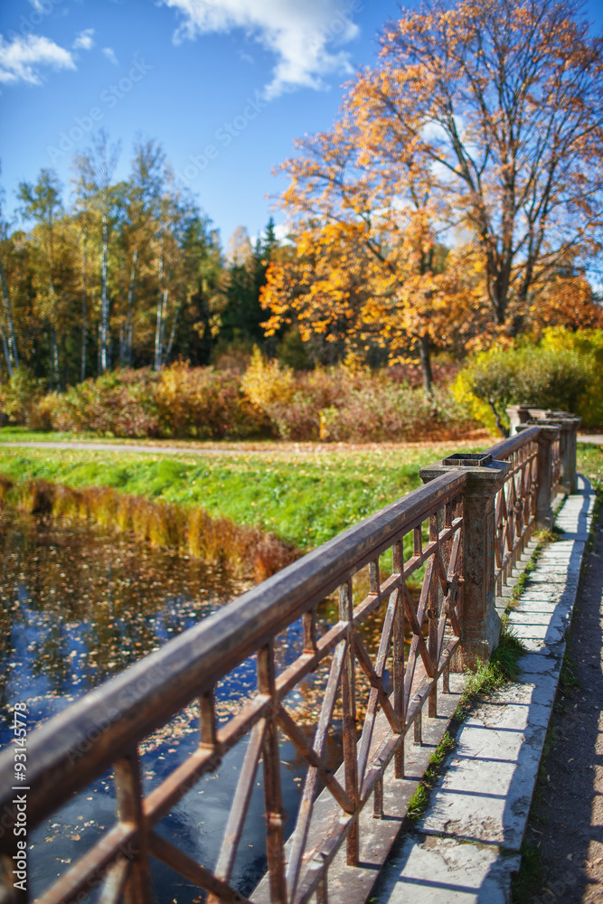 bridge across the lake and the autumn park