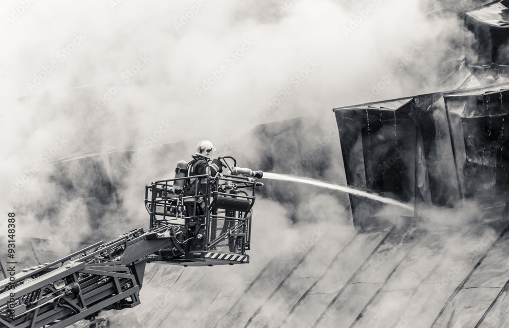 Naklejka premium Fireman and burning roof