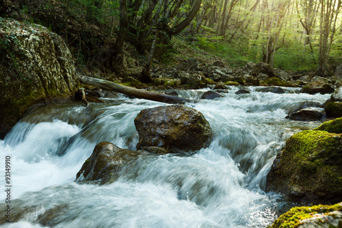 Fototapeta Naklejka Na Ścianę i Meble -  Mountain River in the wood