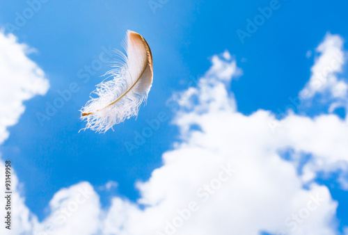 Floating feather in the sky