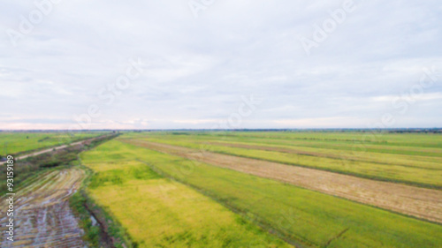 Defocused landscape hight view in the fields asian farmer for background/texture.