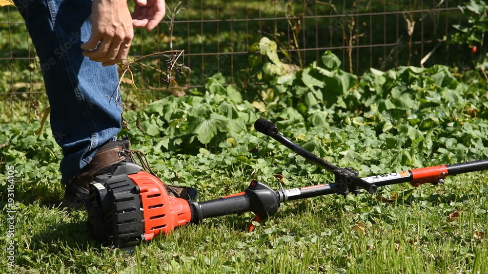 Starting the small engine of a gas weed trimmer.  Pulling the starter cord and revving the throttle and creating a lot of noise.