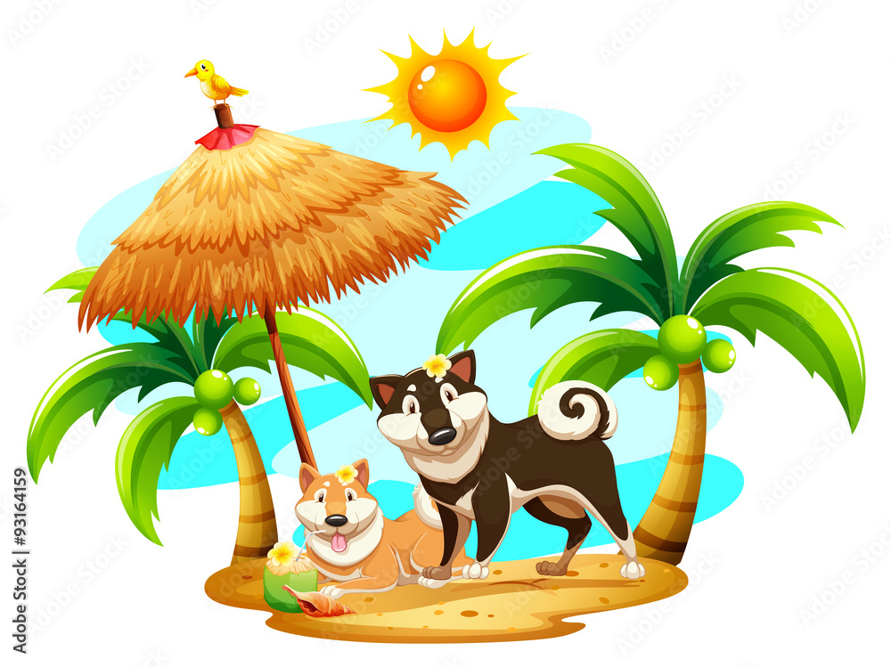 Fototapeta Szczęśliwe psy na plaży