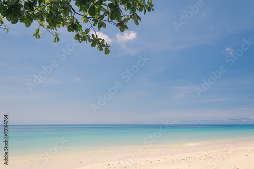 Fototapeta Naklejka Na Ścianę i Meble -  blue sky with beach sea and leaf - soft focus with film filter
