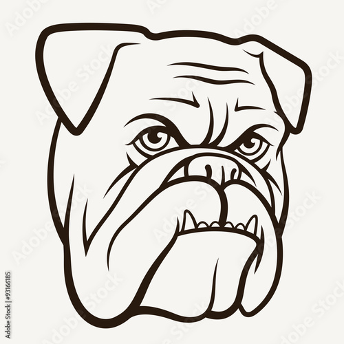 Bulldog 004