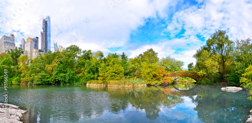 View of Central Park in New York City in autumn