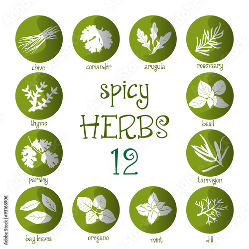 Web icon set of different spicy herbs