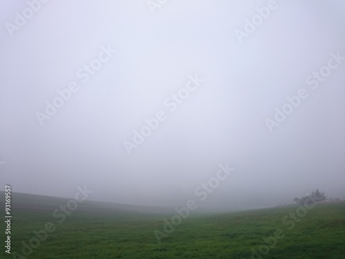 Landschaft umhüllt von Nebel