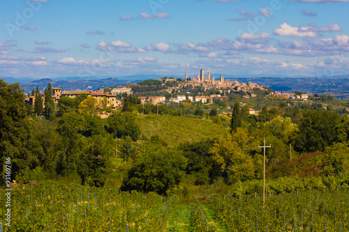 Vigneto toscano nei pressi di San Gimignano