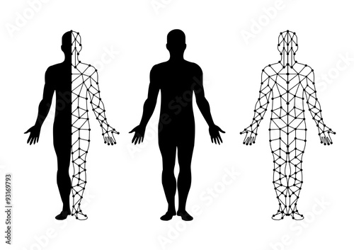 vector body isolate and body mesh. illustration vector.