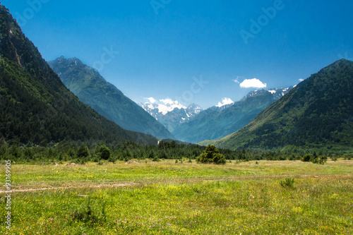 mountain meadow