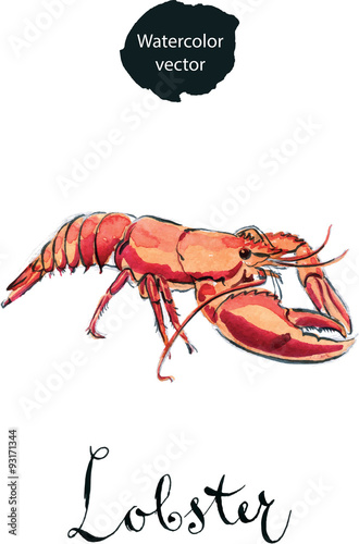 Boiled lobster
