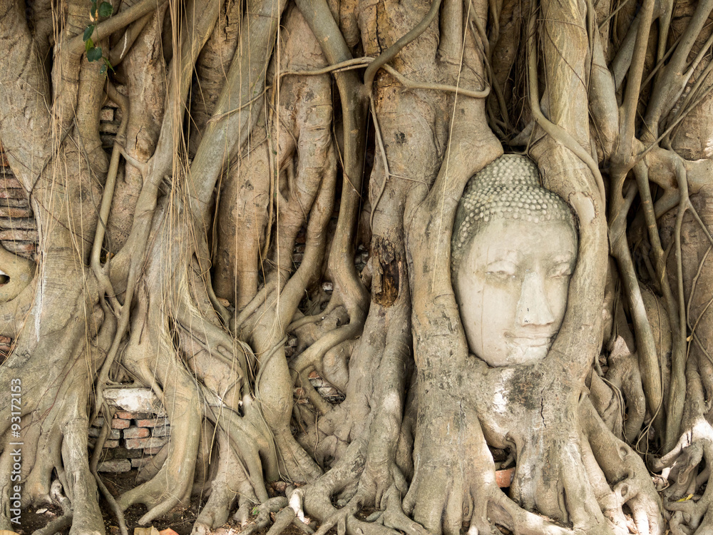 Buddha's head in tree root at Ayutthaya Thailand Buddha's head in tree root at Ayutthaya Thailand