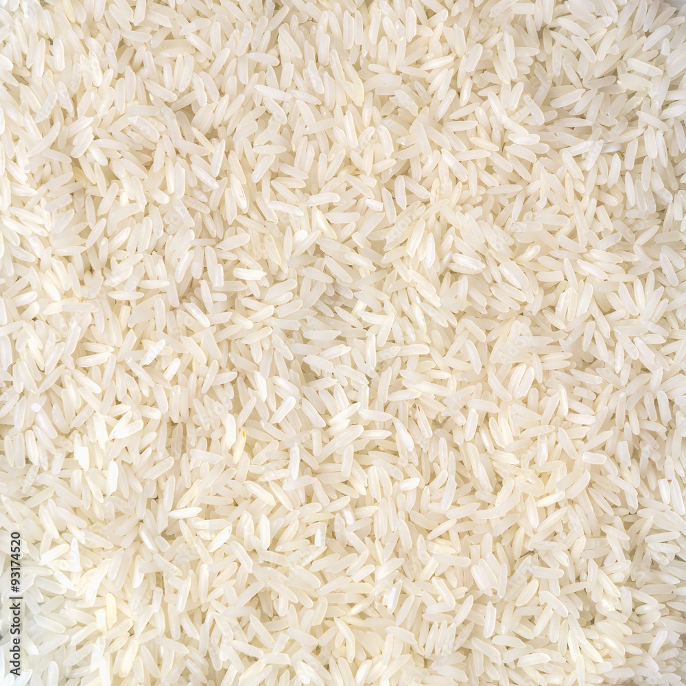rice grain (jasmine rice) rice grain (jasmine rice)