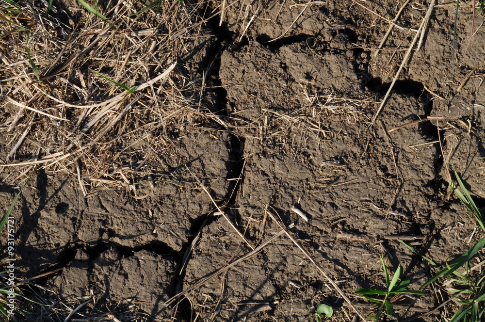 ground with cracks ground with cracks