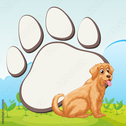 Cute dog and foot print