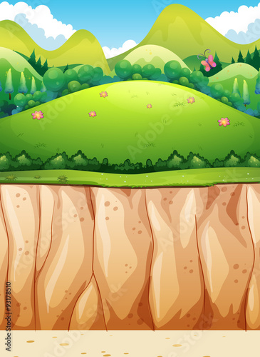 Nature scene of cliff and field