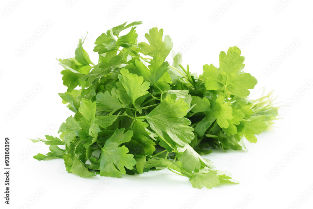 bunch of fresh parsley isolated bunch of fresh parsley isolated