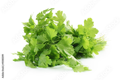 bunch of fresh parsley isolated