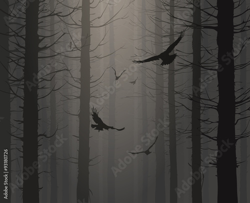 natural background with silhouettes of pine trees and flying birds