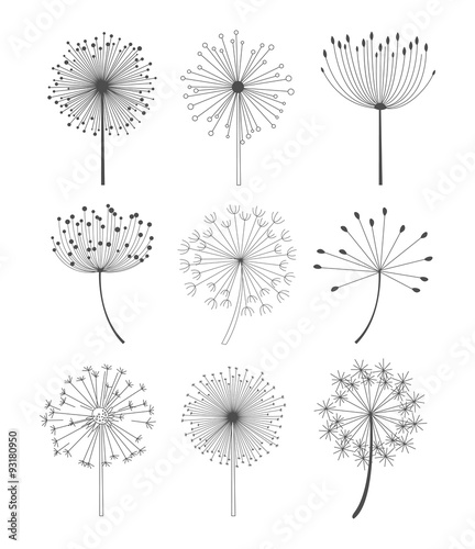 Black and White Dandelions Set Vector Illustration