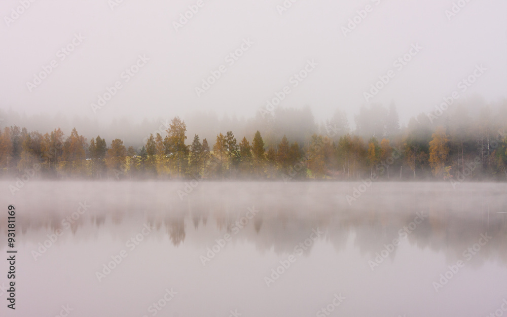 Foggy lake scape and vibrant autumn colors in trees Foggy lake scape and vibrant autumn colors in trees
