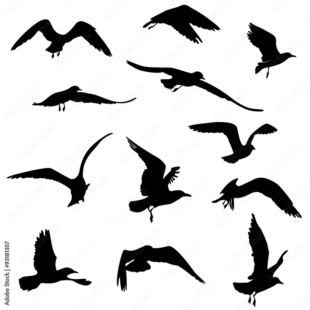 Fototapeta premium silhouettes of seagulls flying
