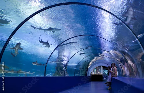 Obraz Dzieci w tunelu wodnym