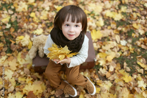 Cute fashionably dressed boy with maple leaves sitting on suitca