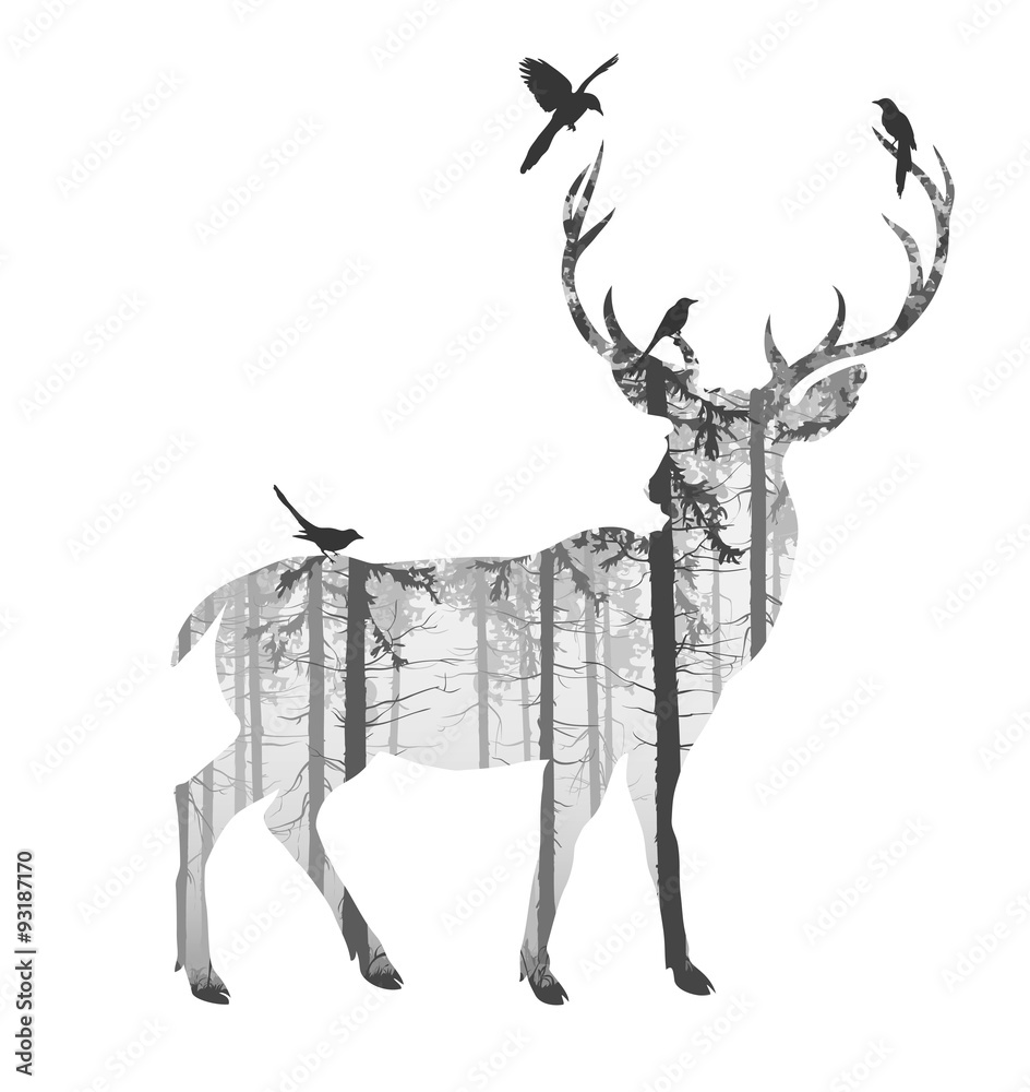 Fototapeta premium deer