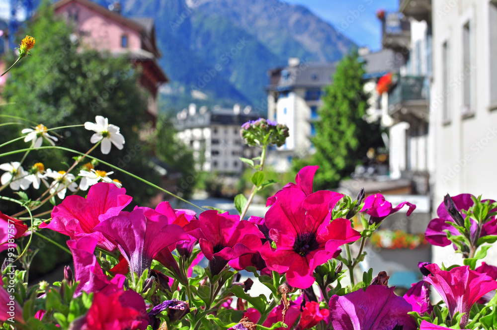 Summer flowers in Chamonix