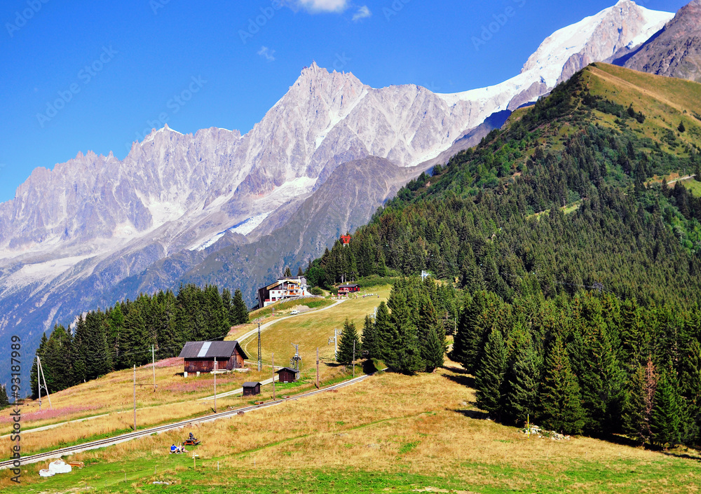 Alpine landscape