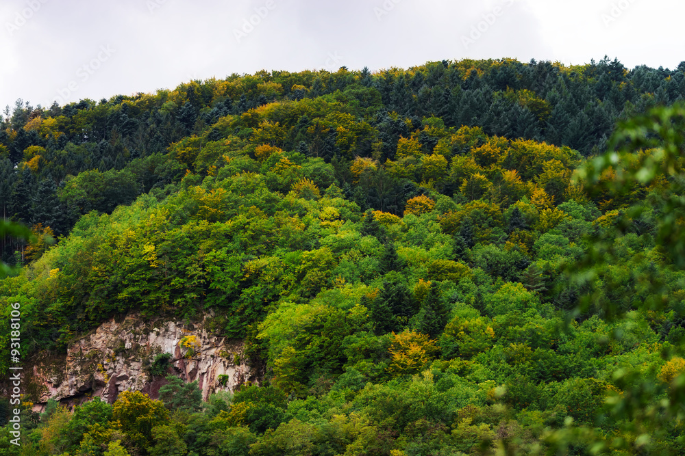 Beautiful colorized autumn hills in Alsace