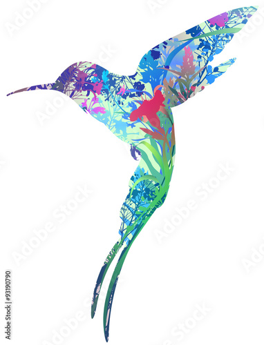 colibri