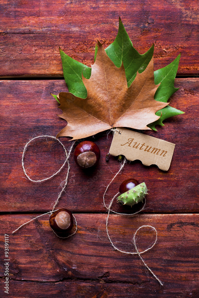 Colorful autumnal background with leaves and chestnuts.Tag with the Words Autumn and a Colorful Autumn Leaf in the Background