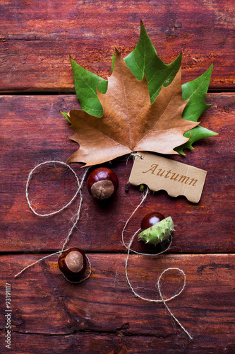 Colorful autumnal background with leaves and chestnuts.Tag with the Words Autumn and a Colorful Autumn Leaf in the Background