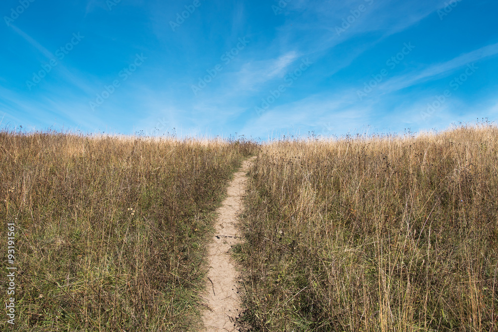 Path.