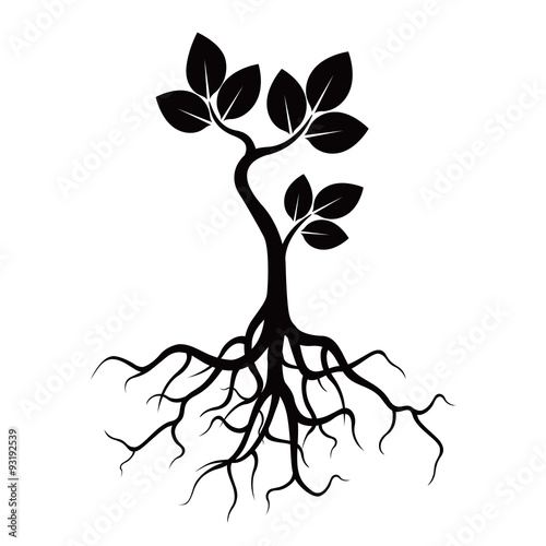 Black Tree and Roots. Vector Illustration.