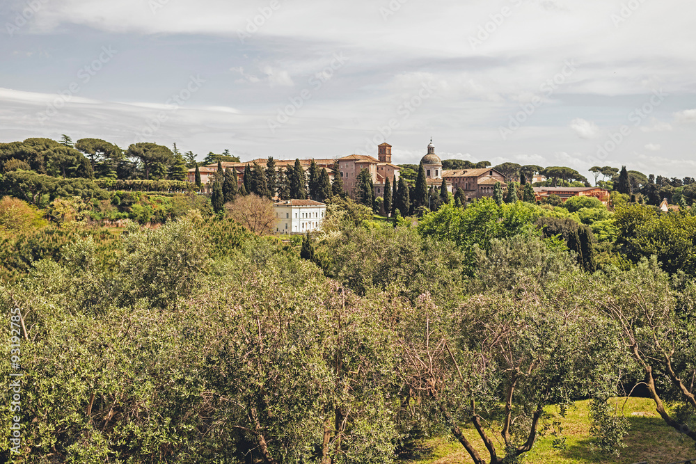 Olive trees with city of Rome at distance.