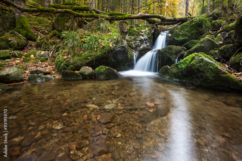 small waterfall in black forest  Germany