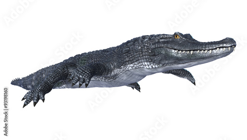 Caiman