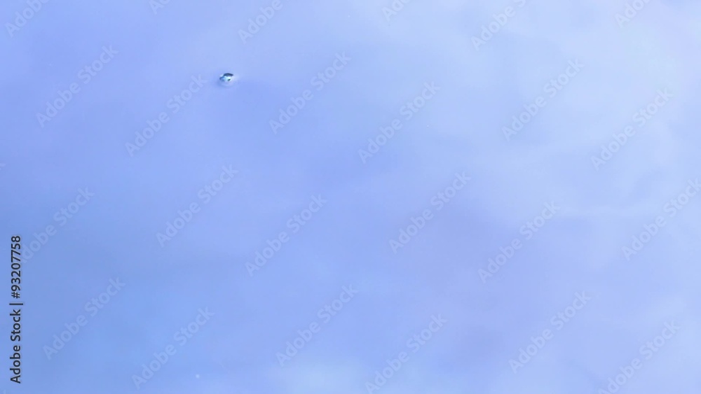 Water surface with dropping water and waves forming Water surface with dropping water and waves forming