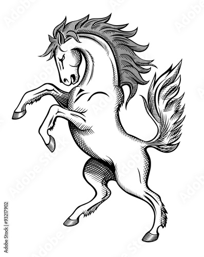 Horse drawing