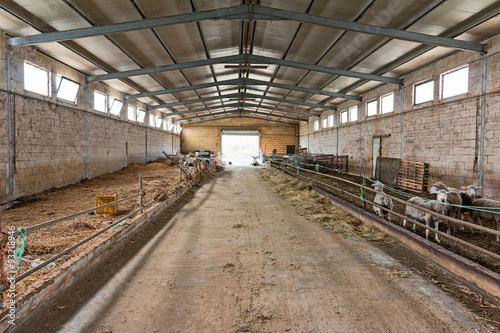 image of a stable of sheep on the farm