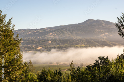 Mountains of Wine Country Framed by Trees photo