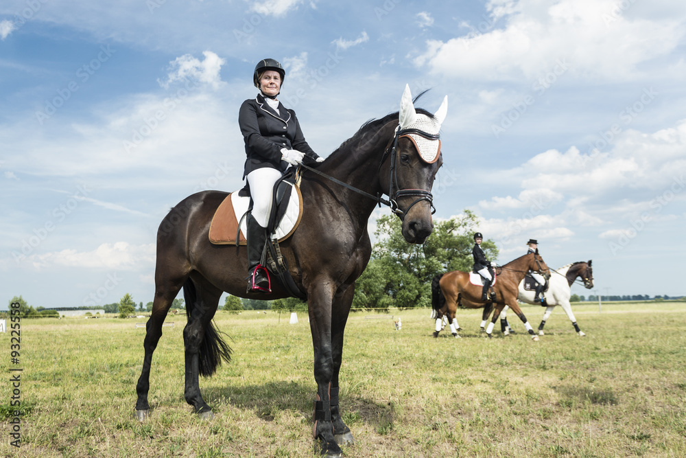 Smiling rider on horse on a meadow Smiling rider on horse on a meadow