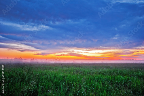 Foggy sunset in summer field