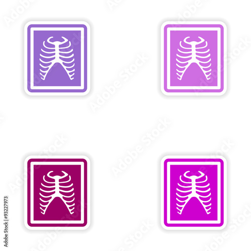 Set paper stickers on white background X-rays of ribs